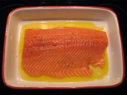 salmon fillet wild on plate