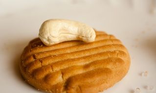 cookies with cashew close-up on blurred background