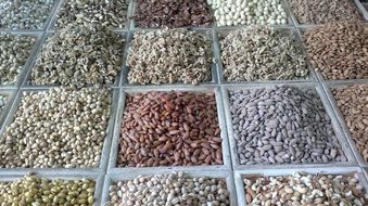 seeds and nuts in boxes on stall