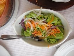 Vegetarian salad in a bowl with a spoon