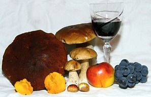 autumn fruits near a glass of wine