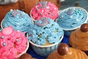 birthday cupcakes, blue and pink