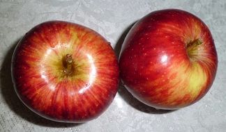 two apples for a healthy snack