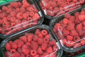 Raspberries in plastic boxes on the market