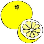 yellow lemons as a graphic illustration