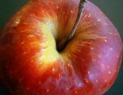 Red and yellow apple