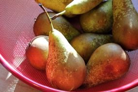 ripe pear fruits on pink plate closeup