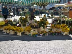 bunches of sunflowers on agriculture market