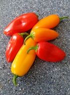 chiquino peppers food
