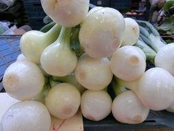 bunch of fresh onion at market