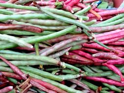 purple and green peas
