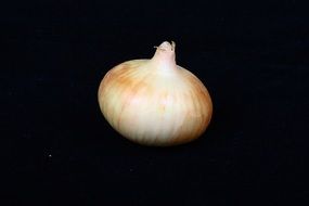 onions on a black background