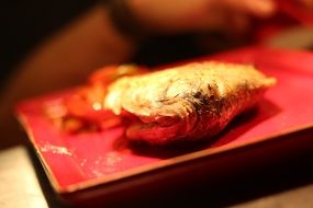 fish on a red plate