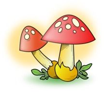 drawn two mushrooms