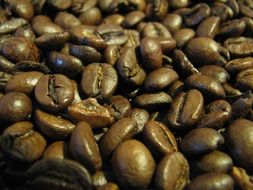 roasted brown fragrant coffee beans