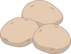 drawing of potatoes on a white background