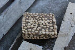frozen dog food
