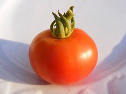natural tomato