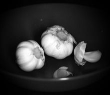 white garlic bulbs on black background