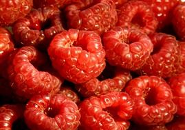 raspberry fruit pie cake