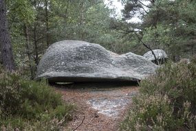 A huge stone among the trees in the forest