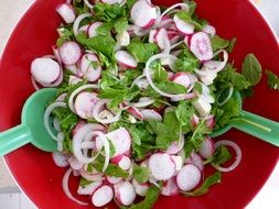 radish and lettuce salad on red plate