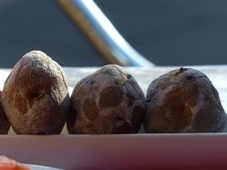 three canarian wrinkly potatoes