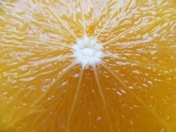 juicy orange sectional close-up