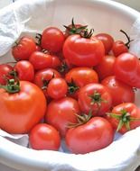 tomatoes in white bowl
