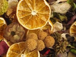 citrus autumn decorations