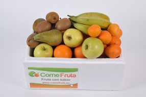 season fruit