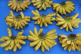 yellow bananas at blue background