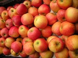 greengrocer fruit