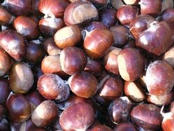 chestnuts fruit