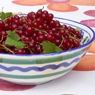 red currants in a ceramic bowl