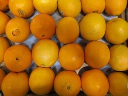 oranges for sale close up