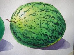 watercolor picture with watermelon