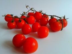 cluster of cherry tomatoes