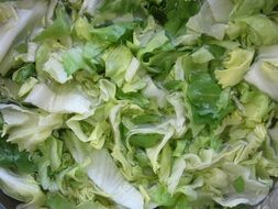 endive for salad