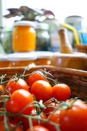 harvest of tomatoes