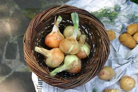 onion in basket and potato on paper