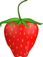 dainty strawberry drawing