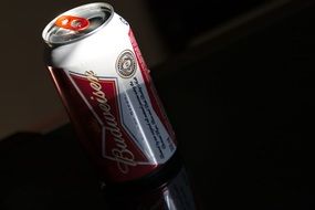 beer budweiser drink