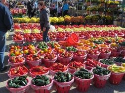 vegetable and fruit market
