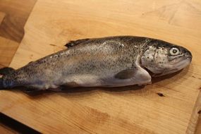 fresh trout on a wooden board