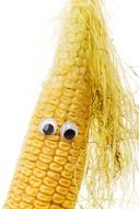 corn as a living thing