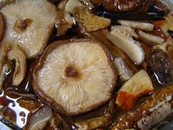 japanese shiitake mushrooms