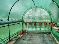 view inside the greenhouse