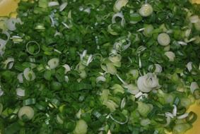 tasty onion green chopped