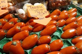 tomato torino 3,5e extra